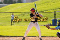 rmhs15vbbase313