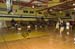rmhs08vgbask1