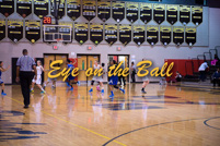rmhs15vgbask133