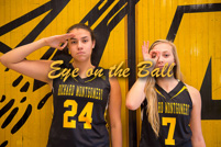 rmhs15vgbask24