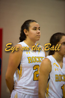 rmhs15vgbask48