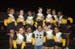 rmhs08vgchee30
