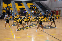 rmhs11vgchee106