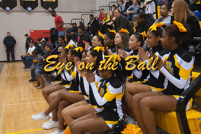 rmhs11vgchee111