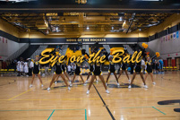 rmhs11vgchee113