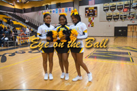 rmhs11vgchee122