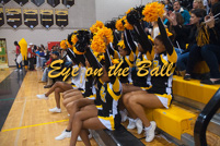 rmhs11vgchee131