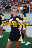 rmhs11vgchee28
