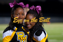 rmhs11vgchee60