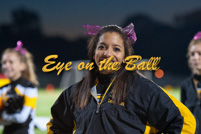 rmhs11vgchee62
