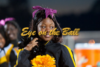 rmhs11vgchee63