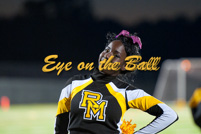 rmhs11vgchee66