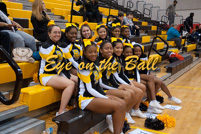 rmhs11vgchee87