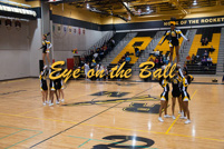 rmhs11vgchee93
