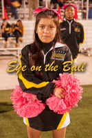 rmhs14vgchee100