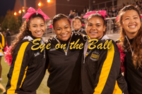 rmhs14vgchee106