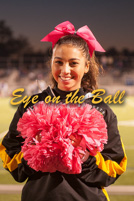 rmhs14vgchee114