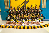 rmhs14vgchee129