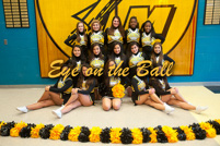 rmhs14vgchee133
