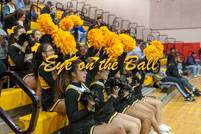 rmhs14vgchee167