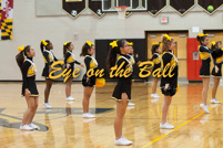 rmhs14vgchee173