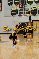 rmhs14vgchee181
