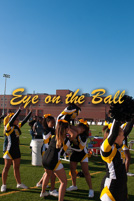 rmhs14vgchee50