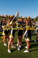 rmhs14vgchee60