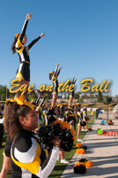 rmhs14vgchee64
