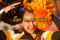 rmhs14vgchee71