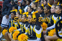 rmhs15vgchee118