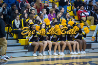rmhs15vgchee120