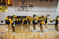 rmhs15vgchee142