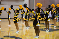 rmhs15vgchee151