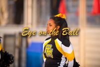 rmhs15vgchee50
