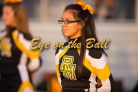 rmhs15vgchee53