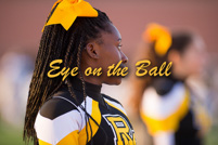 rmhs15vgchee60