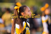 rmhs15vgchee62