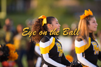 rmhs15vgchee71