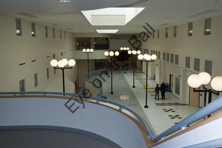rmhs08zzdarm183