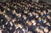 rmhs08zzgrad22