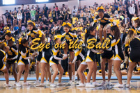 rmhs14zzsprt139