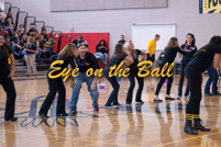 rmhs14zzsprt169