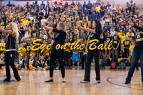 rmhs14zzsprt172