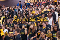 rmhs14zzsprt240