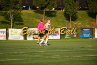 rmhs15jgfihk54
