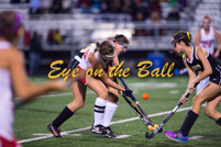 rmhs16vgfihk19