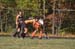 rmhs08vgfihk147