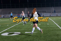 rmhs11vgfihk233