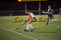 rmhs15vgfihk169